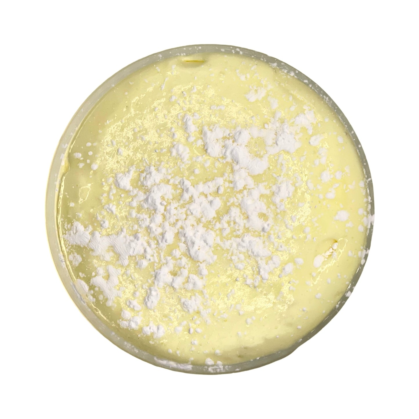 French Quarter Beignets