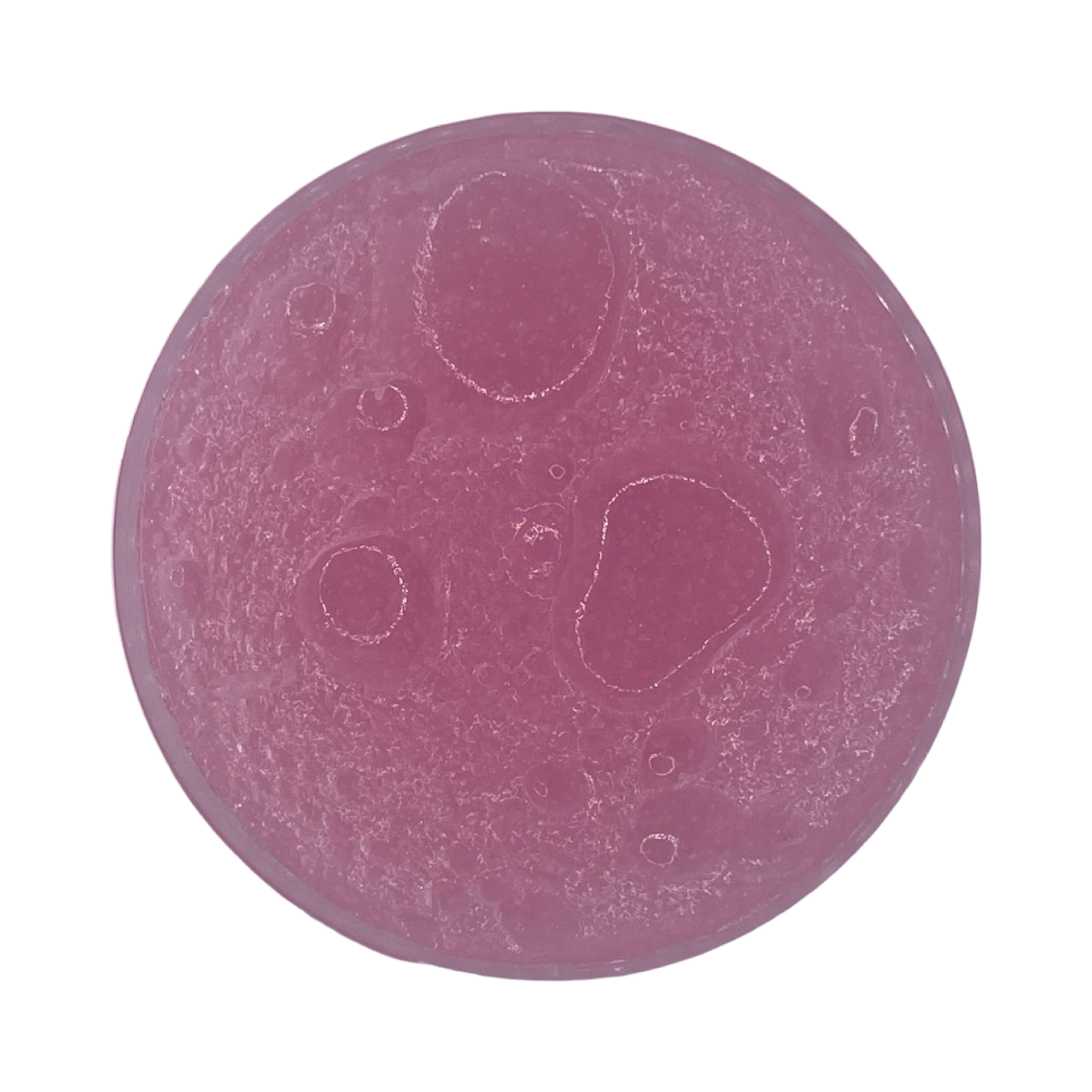 Home for the Holidays